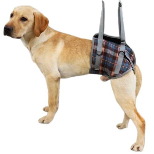Arnés Ortopédico Patas Traseras Perro