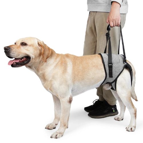 Arnés de cadera para perros