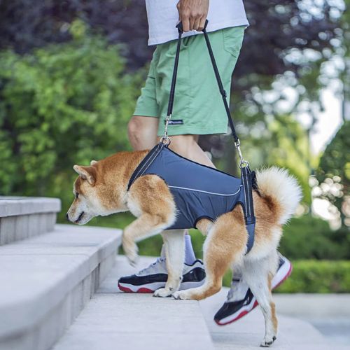 Arnés Elevador para Perro