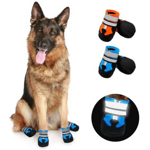 Botas protectoras para Perro