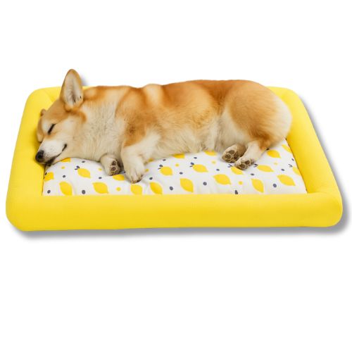 Cama de Verano para Perros Fresh