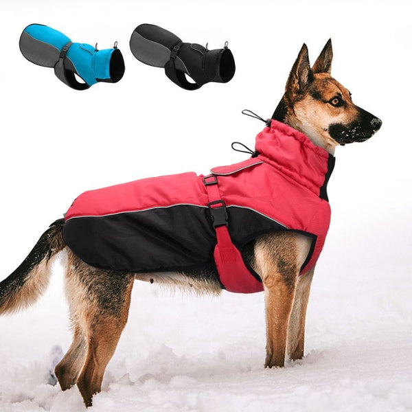 Chaqueta para Perro impermeable