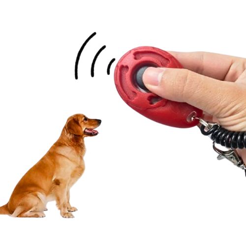 Clicker para Perros