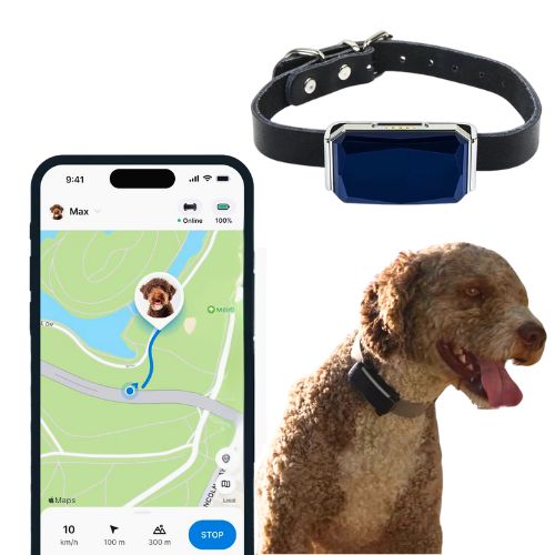 Collar GPS para Perros