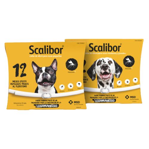 Collar Antipulgas para perros