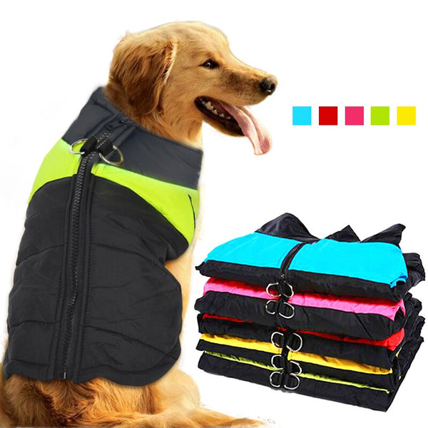 Chaqueta para Perro con arnés Overall