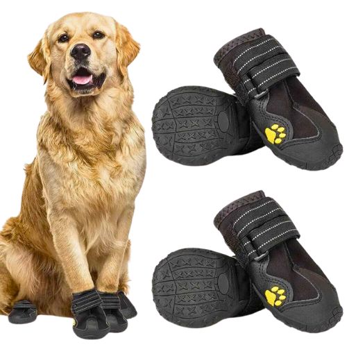 Zapatos Antideslizantes para Perro